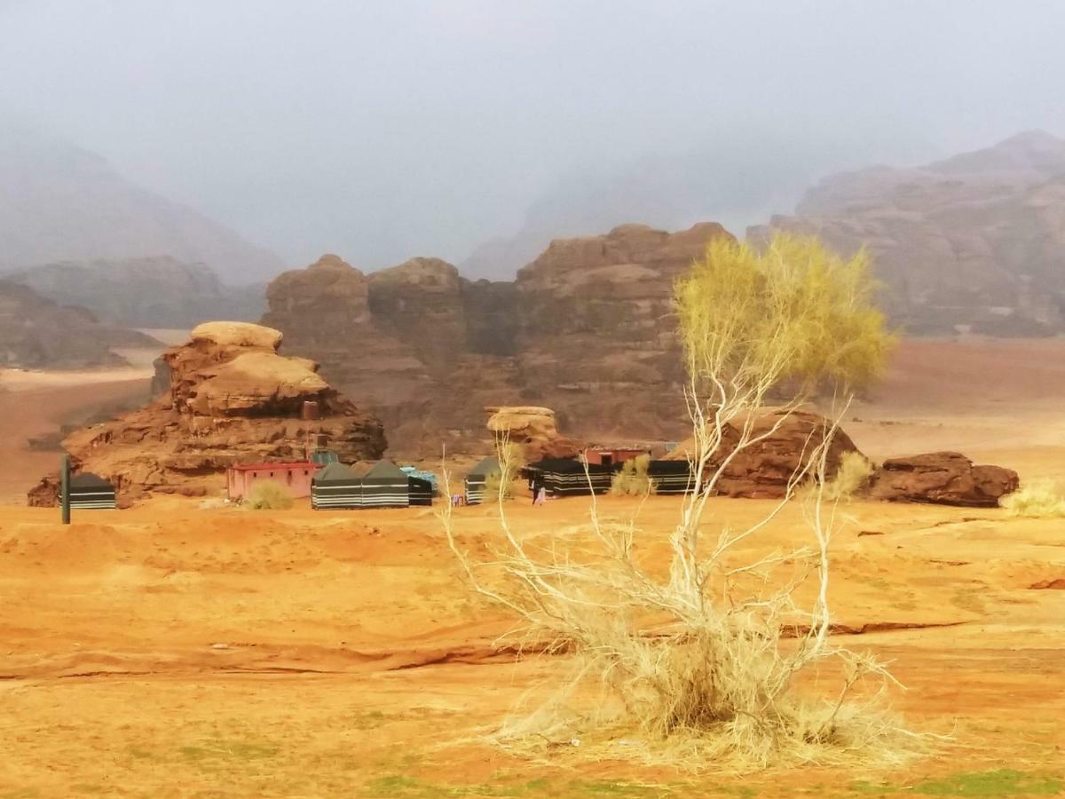 Bedouin Culture Camp Ваді-Рам Екстер'єр фото